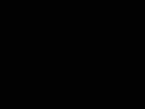 Van Besouw 1101 kleur zwart
