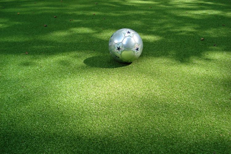 DSC05483 750x500 - Kunstgras voor sport