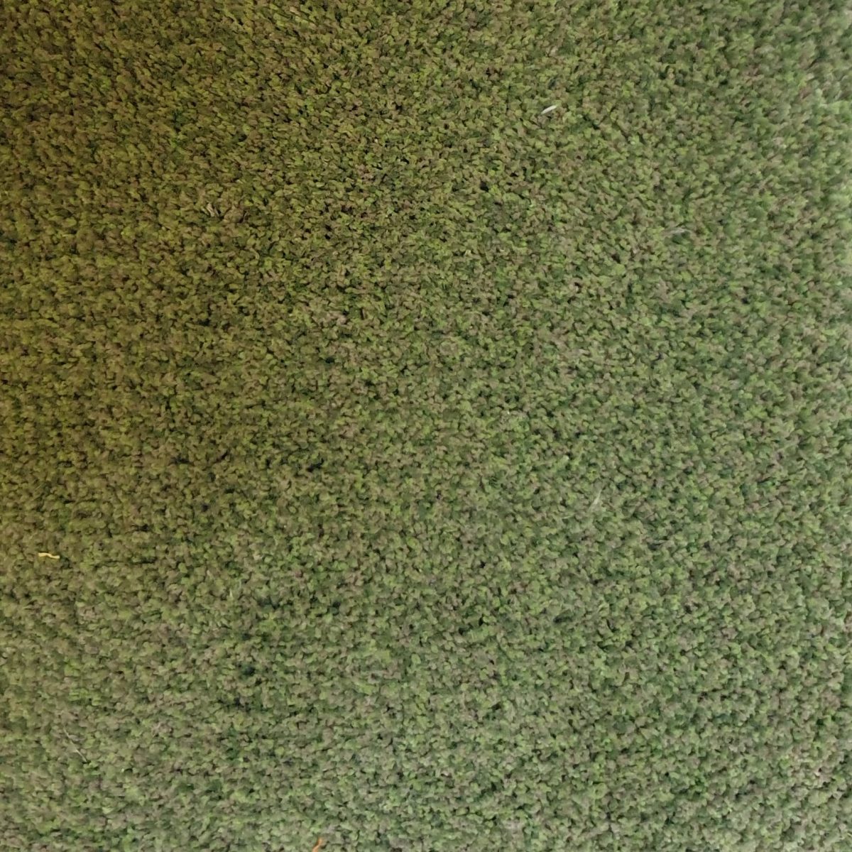 3802 432 1200x1200 - Van Besouw type 3802 kleur 432