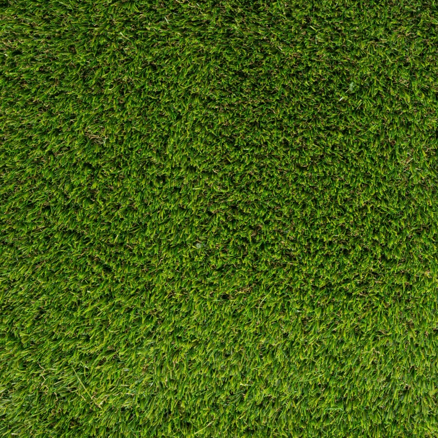 Taiga50 detail - Home page Adcio